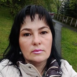 , 41, 