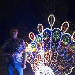 ���� ������, ���������, 48 ��� - ��������� 15 ������ 2023