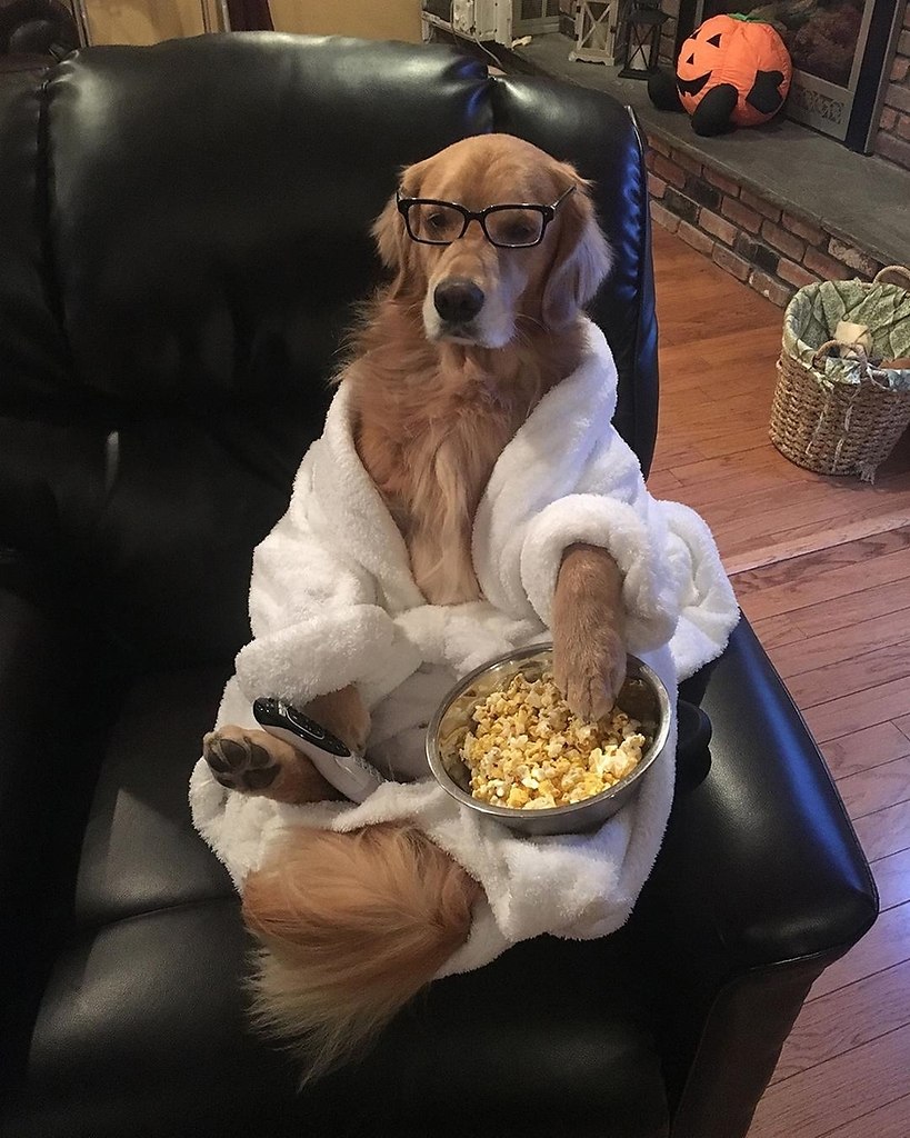 ������ ��������