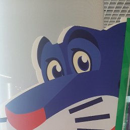 ������, ������, 35 ���