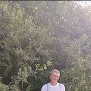 , 53 , 