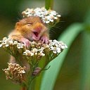 ���� ����, ����������� - ��������� 1 ���� 2025 � ������ ���� ����������