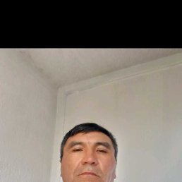 , 51, 