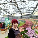 ���� �������, ������, 66 ��� - ��������� 8 ������� 2026