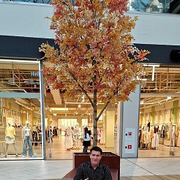 �����, �����, 43 ����