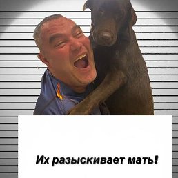 �������, ������, 44 ����