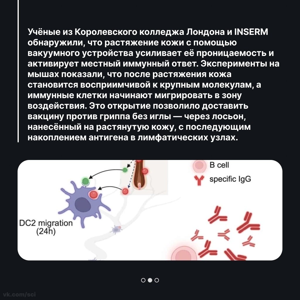 Путешествия | Туризм | Отдых на 5 - 27 сентября 2025 в 15:09 - 2