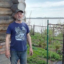 , 65, 