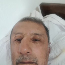 , 65, 