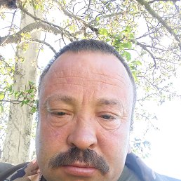 , 44, 