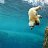 ���� Ursus Maritimus, ������ - ��������� 11 ���� 2026
