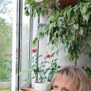  , -, 49  -  16  2024    