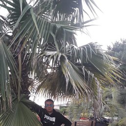 �����, ����, 44 ����