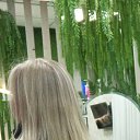���� ����, ������, 41 ��� - ��������� 24 ������� 2025 � ������ ���� ����������