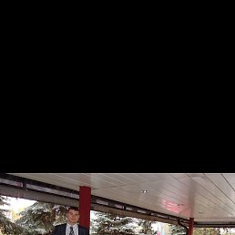 ������, �������, 46 ���