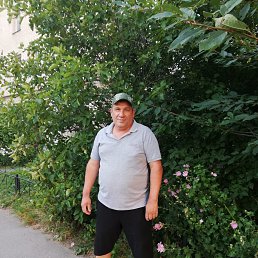 , 65, -