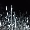 ���� ��������, ���������, 41 ��� - ��������� 29 ������� 2025 � ������ ���� ����������