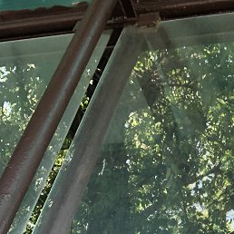 ����, �����, 37 ���