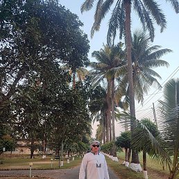 ����������, ��������, 39 ���