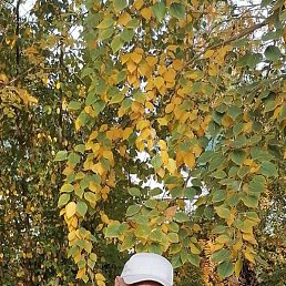 ������, ����, 57 ���