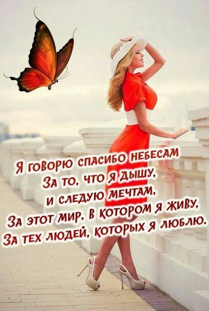  - 15  2024  20:36