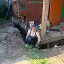 ���� ���������, �����, 50 ��� - ��������� 4 ������� 2025 � ������ ���� ����������