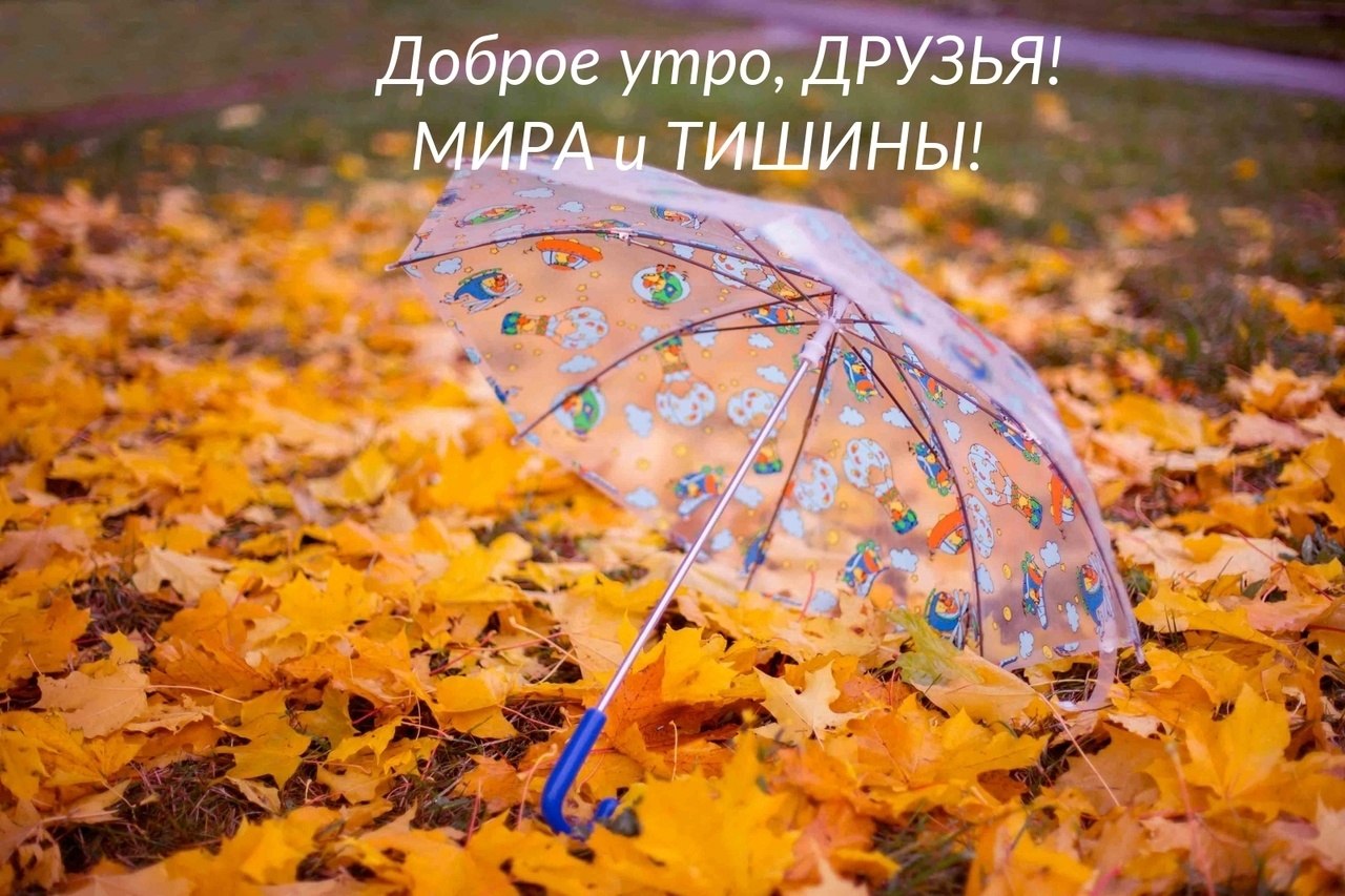   ,    . - 10  2025  23:45