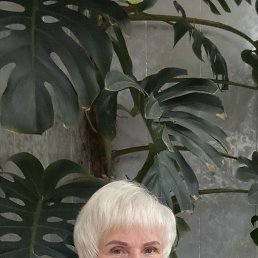 ���� ����, ������������, 65 ��� - ��������� 15 ������� 2023