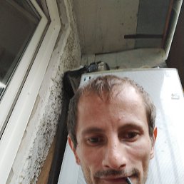 , 37, 