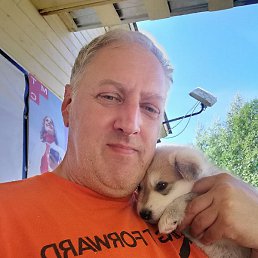 ����, ������������, 50 ���