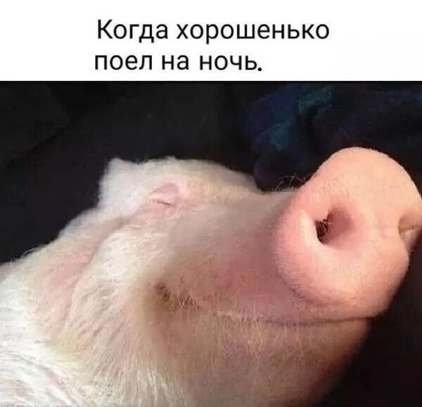  - 20  2025  06:46