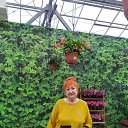 ���� �������, ������, 66 ��� - ��������� 11 ������� 2025 � ������ ���� ����������