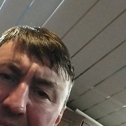 ����, ������, 46 ���