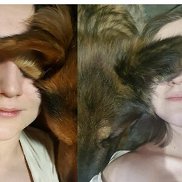 ���, 36 ���, ������