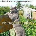 ���� �������, ���, 76 ��� - ��������� 29 ������ 2025 � ������ ���� ����������