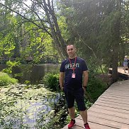 �������, 43 ����, ������