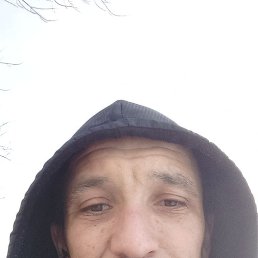 , 39, 