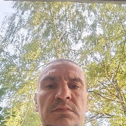 , 41, 