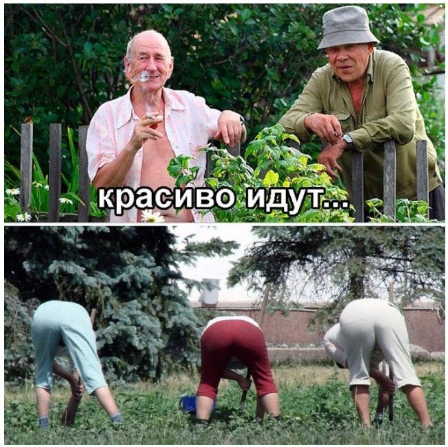 ... - )   -...  )))