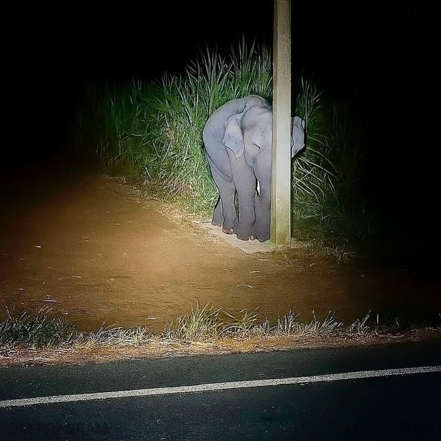 �e�� ec�� ����...��o c ��� �����. ��o�� ������ �������� ��������� �� ��������� ����������� ��������� ... - 3