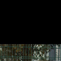 �����, ���������, 20 ���