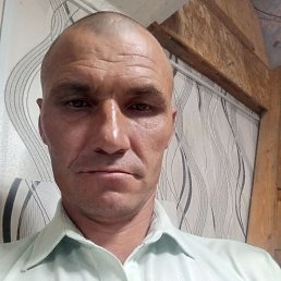 , 41, 