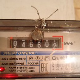 �������, ������, 50 ���