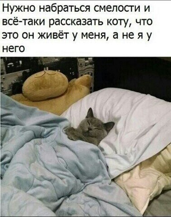 ? ,  ! - 13  2025  04:33