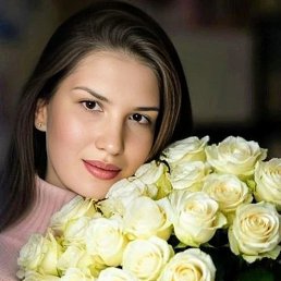 ������, 41 ���, ������