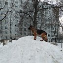 ���� �����, ������, 50 ��� - ��������� 7 ��� 2024 � ������ ���� ����������