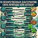 ���� Sss, ����� - ��������� 15 ���� 2026