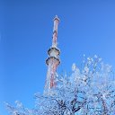 ���� ���, �����, 51 ��� - ��������� 24 ������ 2026 � ������ ������ ��������