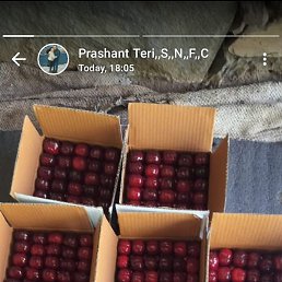 Vivek, ����, 80 ���