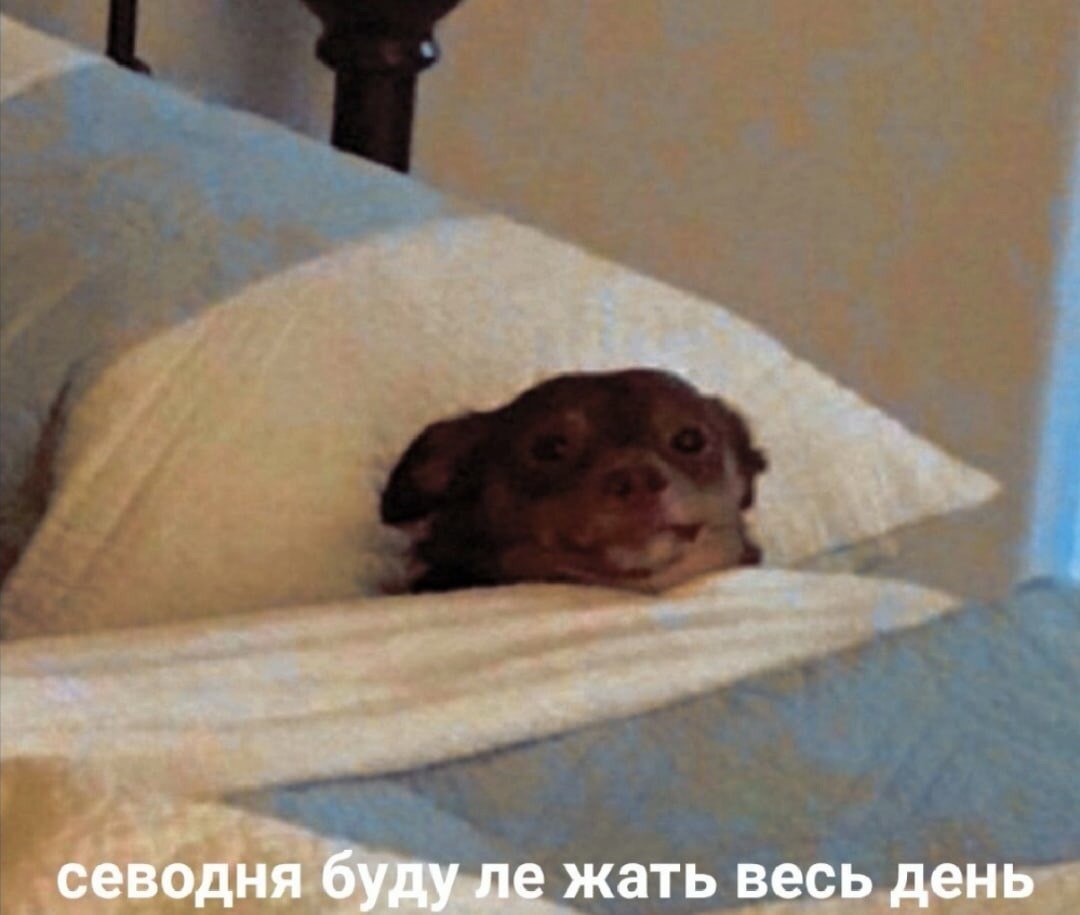 ��� �������� �������� - 26 ������ 2023 � 16:30